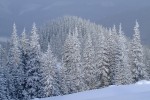 , 1 февраля 2010