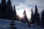 , 1 февраля 2010