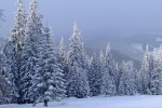 , 1 февраля 2010