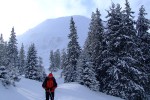 , 1 февраля 2010