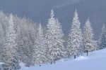 , 1 февраля 2010