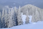 , 1 февраля 2010