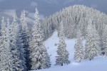 , 1 февраля 2010