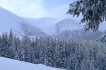 , 1 февраля 2010