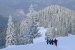 , 1 февраля 2010