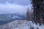 , 1 февраля 2010