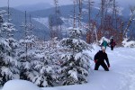 , 1 февраля 2010