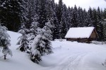 , 1 февраля 2010