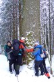 , 1 февраля 2010