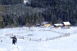 DSCF1155