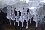 DSCF1214