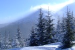 DSCF1239