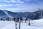 DSCF1429