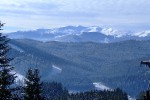 DSCF1444