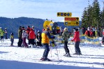 DSCF1464