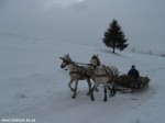 IMG_7702
