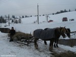 IMG_7708