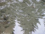 IMG_7719