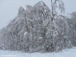 IMG_7769