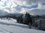 IMG_7775