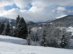 IMG_7778