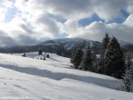 IMG_7779