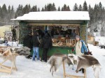 IMG_7782