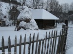 IMG_7794