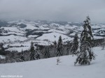 IMG_7846