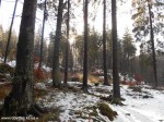 DSCN0530
