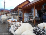 DSCN0588