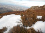 DSCN0843