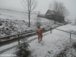 DSCN0932