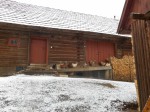 DSCN0938