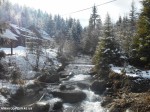 DSCN0967