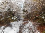 DSCN0971