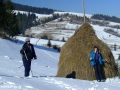 DSCF8143
