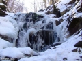 DSCF8173