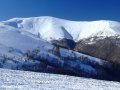 DSCF8246
