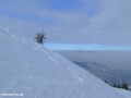 DSCF8361