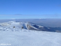 DSCF8395