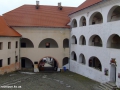 DSCF8524