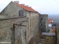 DSCF8526