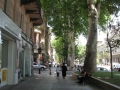 izobrazhenie-kiev-06.2014-1140