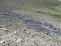 izobrazhenie-kiev-06.2014-517
