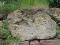 izobrazhenie-kiev-06.2014-703