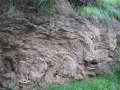 izobrazhenie-kiev-06.2014-708