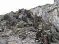 izobrazhenie-kiev-06.2014-735