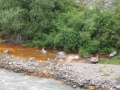 izobrazhenie-kiev-06.2014-741