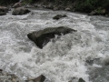 izobrazhenie-kiev-06.2014-752